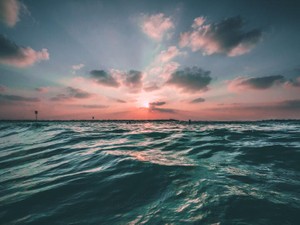 旅への気持ちを軽やかに。インドが好きなその人から学んだこと