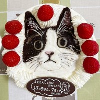 初ちゃんにそっくりな誕生日ケーキ（画像提供：はっちゃんムーさん）