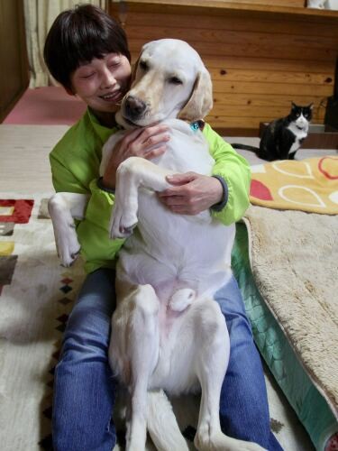 櫻井さんに身を預ける甘えん坊のトリトン。背景にいるのは猫のクルミ