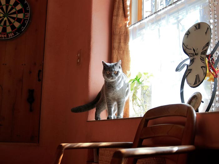 しかし、どこにいても絵になる