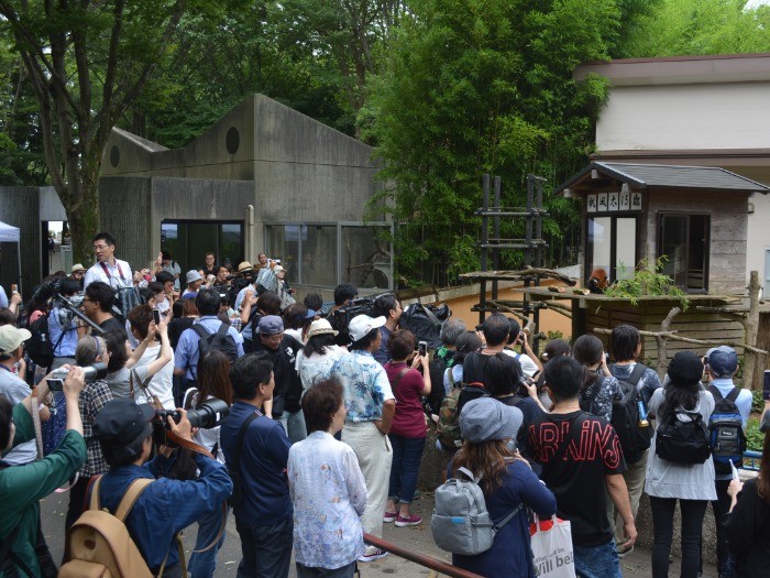 風太の「１５歳誕生祭」には大勢の人たちが駆けつけた