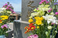 お墓参りに持ってきたお菓子はどうしたらいい？※画像はイメージです（Wakko/stock.adobe.com）