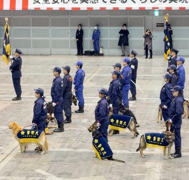 それまで寝ていたわんちゃんたちも、起立や伏せ、お座りで国歌の演奏を観賞（動画からキャプチャー／提供：ゆるふわ怪電波☆埼玉さん）
