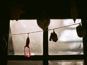 「順風満帆」の姉が初めてこぼした弱音。気づけなくてごめんね