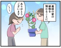植物を預かることに