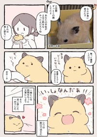 【漫画】『さみしがりハムスターと2泊3日離れたら大変なことになった話』2（しらほし卯乃さん提供）