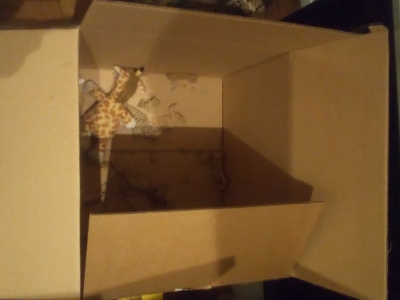 「オレンジの箱」じゃない段ボール箱は少しずつ爪研ぎされて、ボロボロになっていきます。でもお気に入りのキリンさんが持ち込まれているあたり、誰かが大事にしてるみたい。