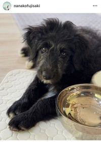 藤崎奈々子インスタグラム＠nanakofujisakiより
