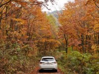 たつやさんはドライブが好きなのだそう／たつやさん（@Tatsuya_niki）提供