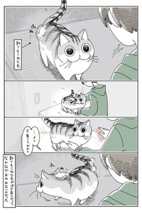 ブラッシングが終わらない…（提供：キュルZさん）