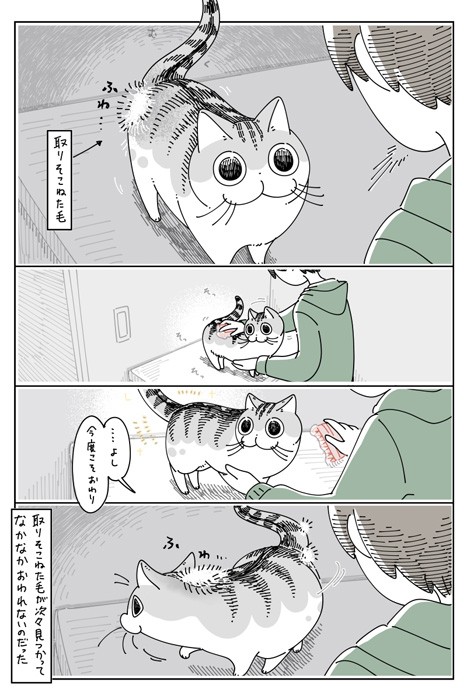 ブラッシングが終わらない…（提供：キュルZさん）