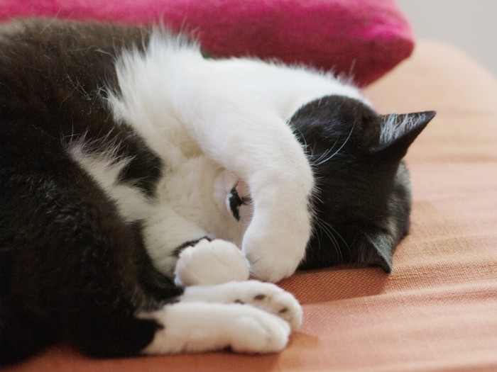 「まぶしいよー」（小林写函撮影）