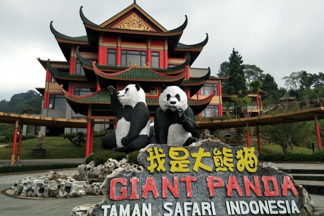 インドネシア初のパンダを受け入れたタマン・サファリ
