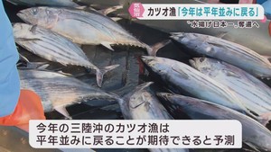 「三陸沖のカツオ漁は平年並みに戻る」専門家　宮城・気仙沼市で２０２５年は不漁