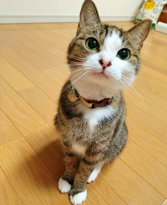 「遊んで～、遊んで～」と訴える