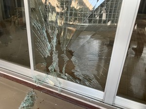 【速報】仙台・若林区にイノシシ出没　高校の窓突き破る