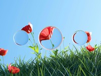 今日も私は完璧にんげん。一目惚れした半袖のジャケットに袖を通す