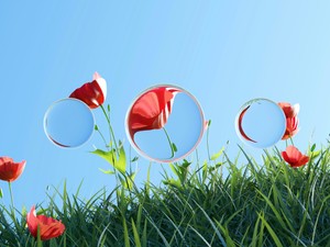 今日も私は完璧にんげん。一目惚れした半袖のジャケットに袖を通す