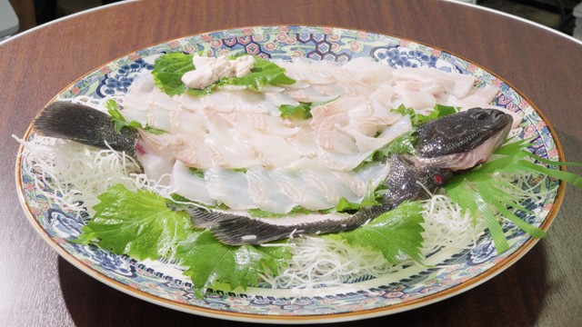 マツカワのお刺身（岡山理科大学提供）