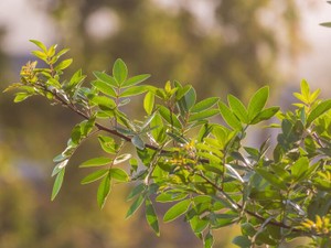 「デブでブスはいくら勉強しても幸せになれない」と私に言った母はルッキズム被害者