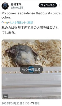 鳥の虐待動画をあげていた（XユーザーAさん提供）