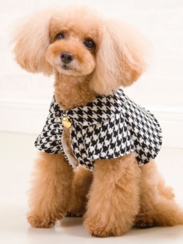 若い頃のつむぎ　舞坂さんのデザインの服を着て