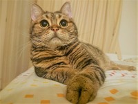 パルルちゃん、何を見てるのかな？