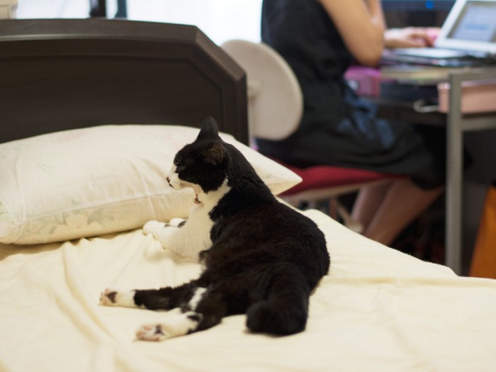 「あーあ、おじちゃんは頼りにならないし」（小林写函撮影）