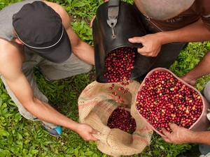 笑顔を育てる種をまこう 【トレーサビリティ】