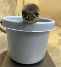 2024年1月1日撮影（提供：新屋島水族館）