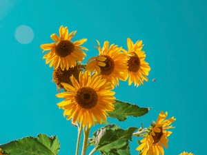 シミやシワは隠さない。母や祖母に「美しい人にある」と教わったから