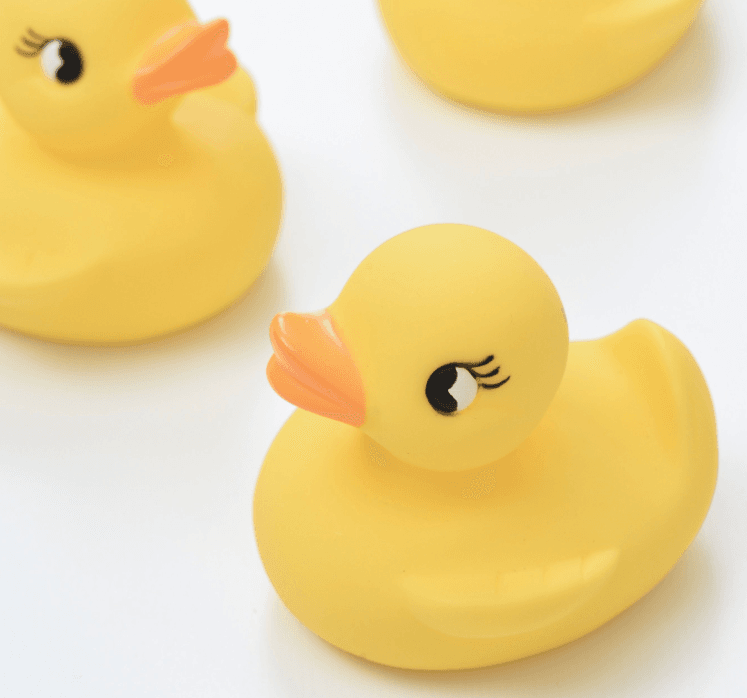 この癒し系のアヒルちゃんが、安居さんの手にかかると……（写真提供：安居さん）