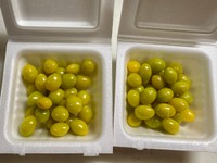 納豆のパックにいれて…（ttさん提供）