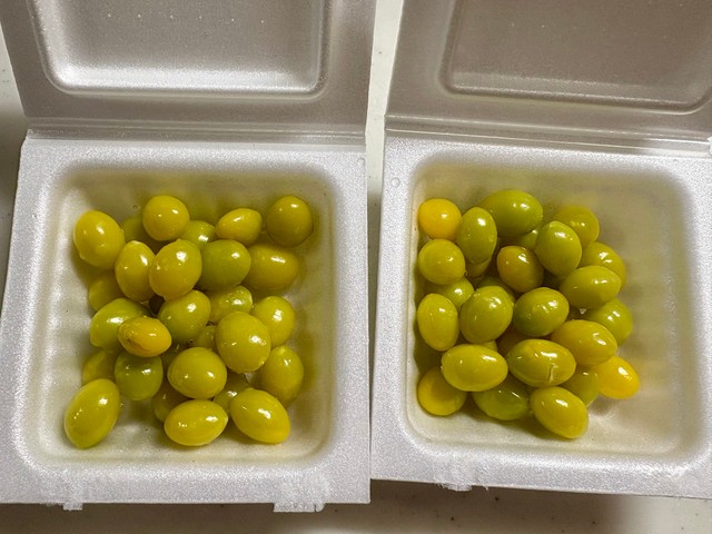 納豆のパックにいれて…（ttさん提供）