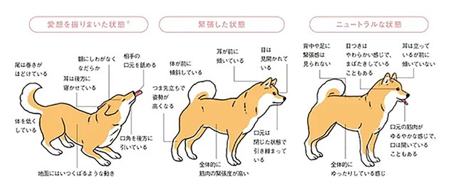 「近くの相手に対して」より