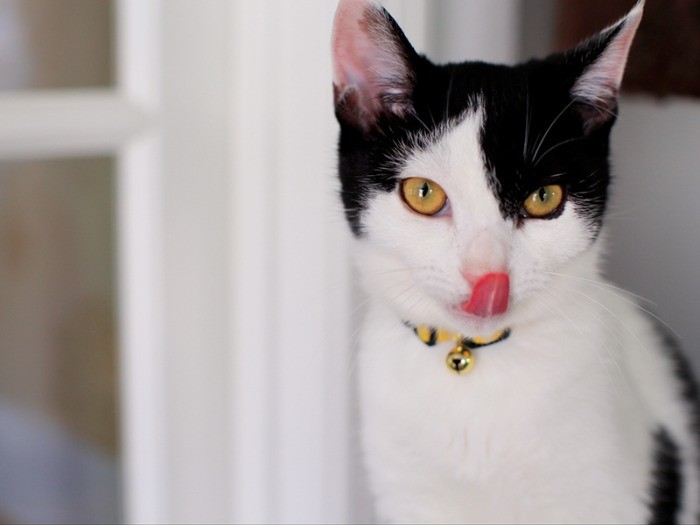 ポール兄さんのおかげで取材が終わる頃にはすっかりリラックスしたお顔に。