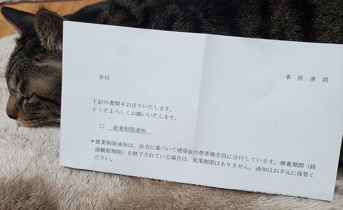 私は本チャンは軽症でしたが、“後遺症”がひどく仕事に支障。物忘れ、ひどい関節痛、味覚＆嗅覚（きゅうかく）障害に悩まされました。「はっぴーのうんちが臭く感じない」という（ややありがたき）事態も……