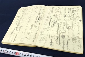 志賀直哉「暗夜行路」の草稿見つかる　謎に包まれた制作過程、浮かぶ