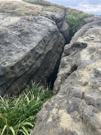 人頭税時代に人減らし目的で妊婦に飛び越えさせたという悲話が伝わる久部良バリ。密貿易が行われた港からすぐのところにある