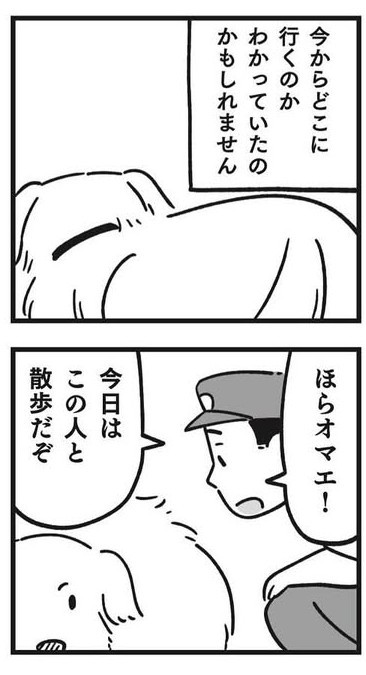 遂に保健所に連れて行かれる日、オマエはまったく動こうとしなかった（しろやぎ秋吾さん提供）