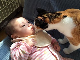 愛猫の病気が娘を成長させてくれた　ひとりっ子が“猫兄弟”から学べること
