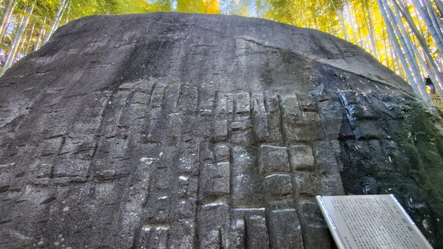 間近に見るとあらためて巨大さに圧倒される