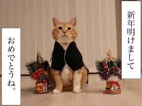 ぐっぴーにゅーいやー２０２２　正装して記念撮影するつもりが…