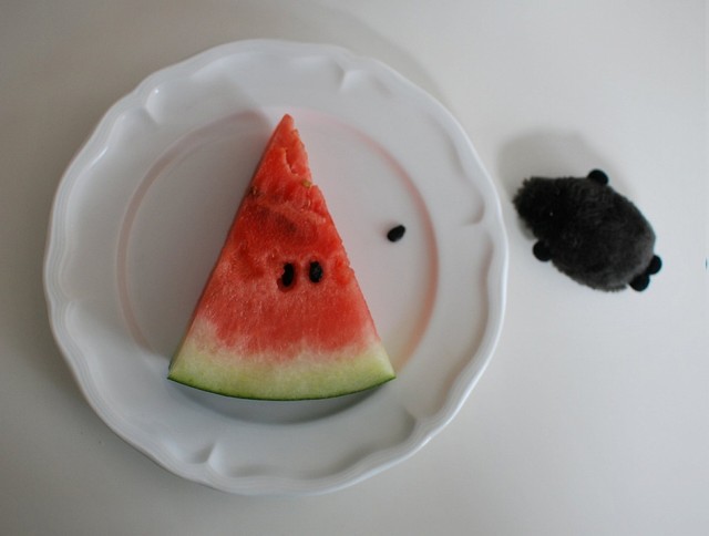 なにこの黒い物体？実は、スイカの「種」のぬいぐるみ！じわじわ迫る