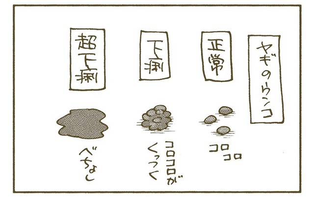 図解ヤギのウンコ（くるねこ大和さん提供）
