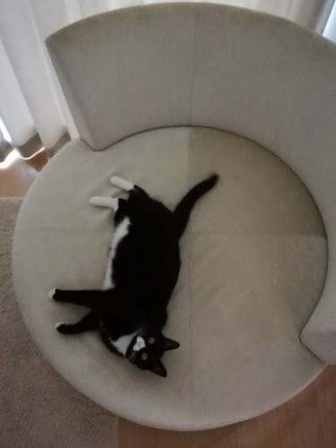 どの角度からでも絵になるでしょ