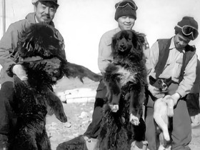 越冬した樺太犬タロとジロの写真も！ 南極観測６０年展、銀座で
