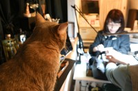 施術を見守るソフィ。「きれいなお爪になってニャ」
