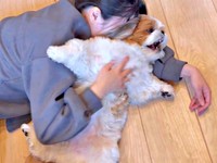 「ぽこちゃーん！」 ママにされるがままになるぽこちゃん（画像提供：ぽこさん）