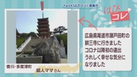 【はぴコレ】青春18切符でコロナ以降初の遠出・子連れでお寿司屋さんデビュー　5月14日放送